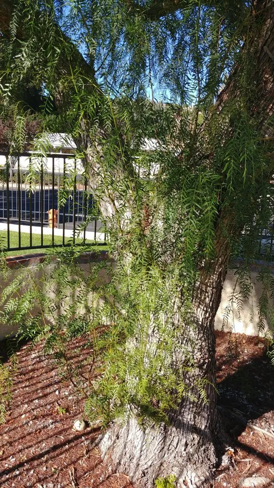 Custom residential landscaping with custom design in Moorpark, CA by M & R Landscape Construction