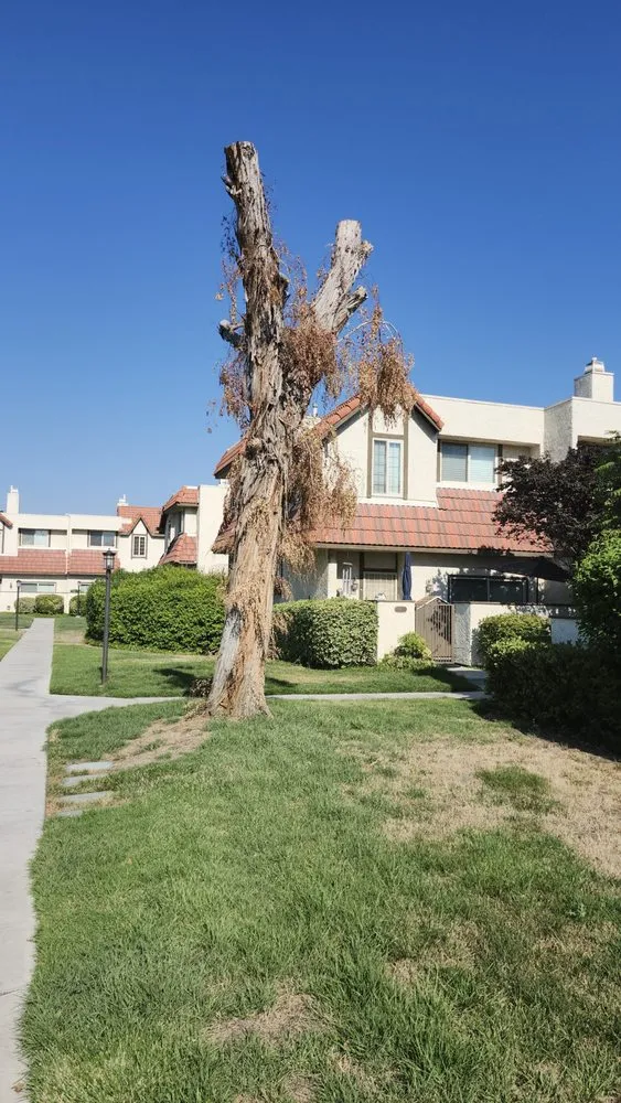 Expert lawn mowing service experts serving Moorpark, CA - M & R Landscape Construction