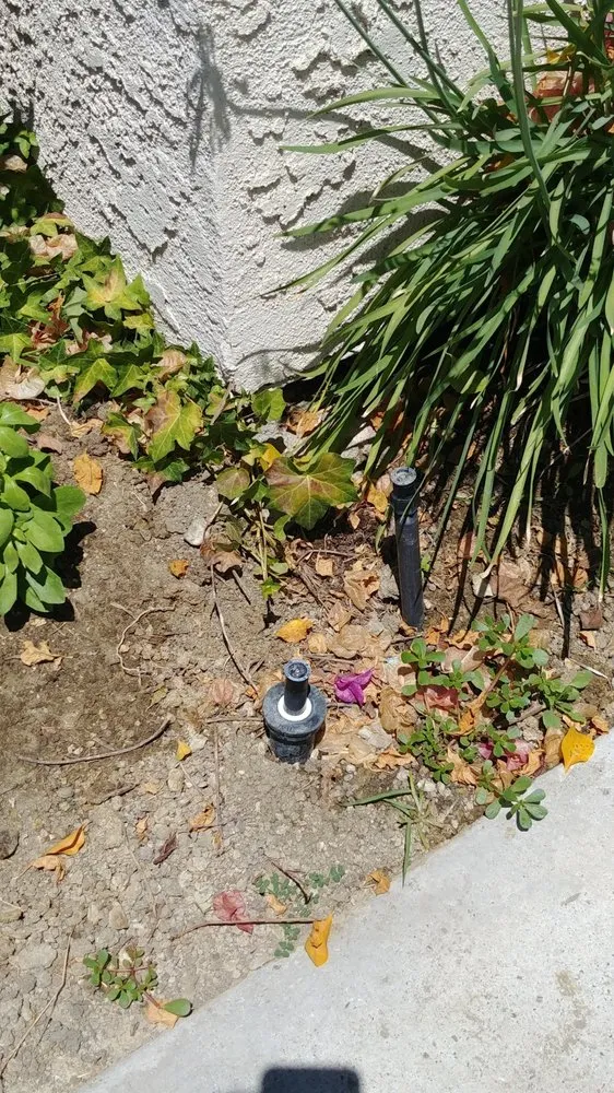 Expert garden landscaping for beautiful yards across Moorpark, CA - M & R Landscape Construction