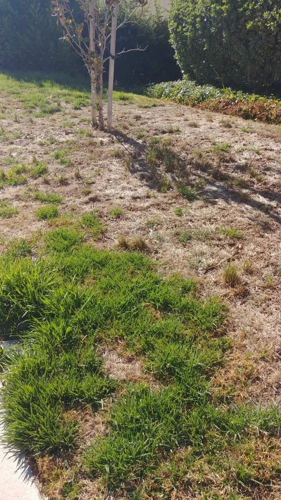 Top-rated garden landscaping experts serving Moorpark, CA - M & R Landscape Construction