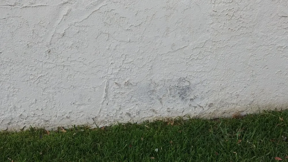 Expert landscaping services experts serving Moorpark, CA - M & R Landscape Construction