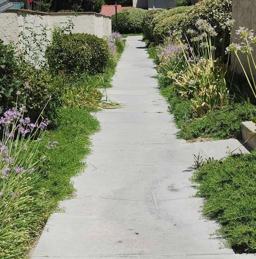 Trusted yard cleanup service in Moorpark, CA by M & R Landscape Construction