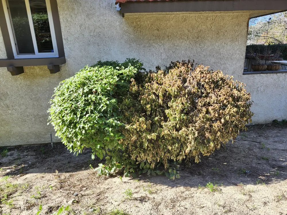 Expert residential landscaping experts serving Moorpark, CA - M & R Landscape Construction