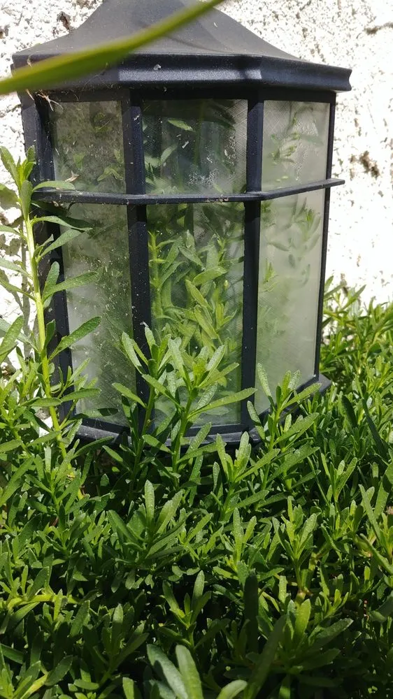 Top-rated garden landscaping in Moorpark, CA - M & R Landscape Construction