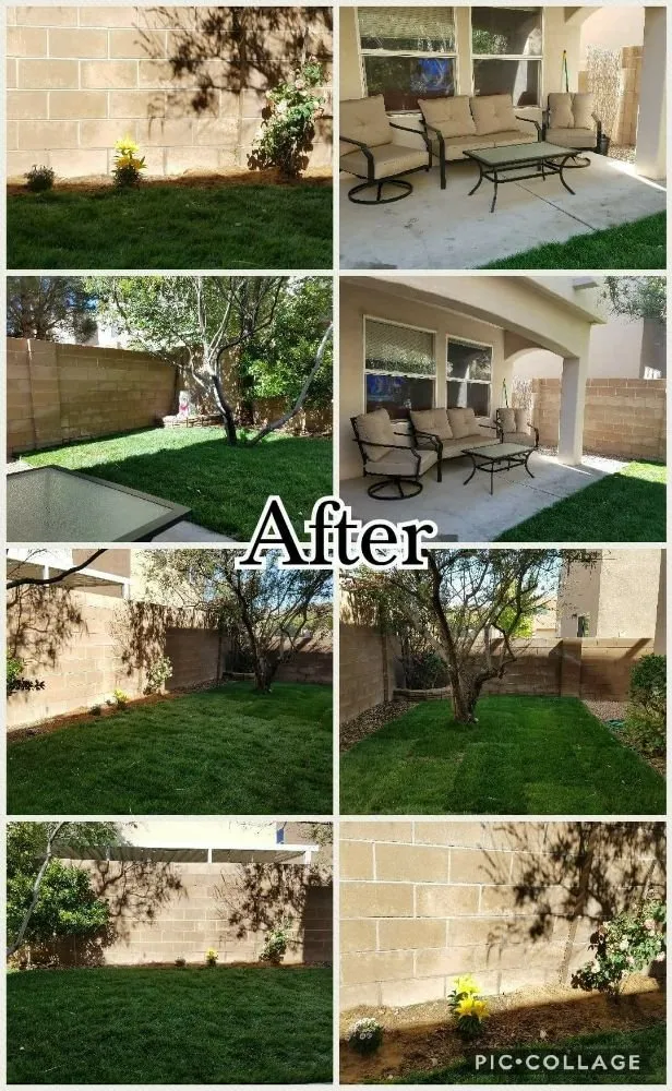 Top-rated landscape design experts serving Rio Rancho, NM - M & R Landscape