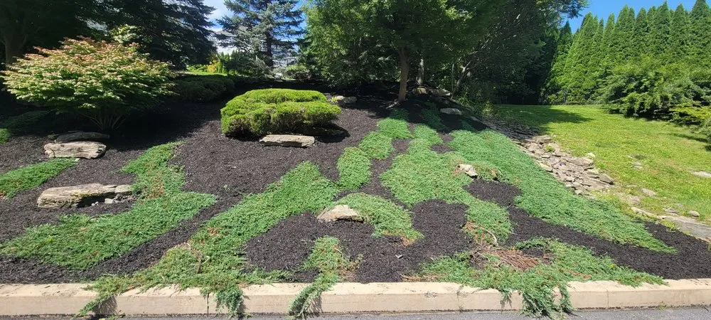 Trusted residential landscaping in Scranton, PA - M & R Landscaping