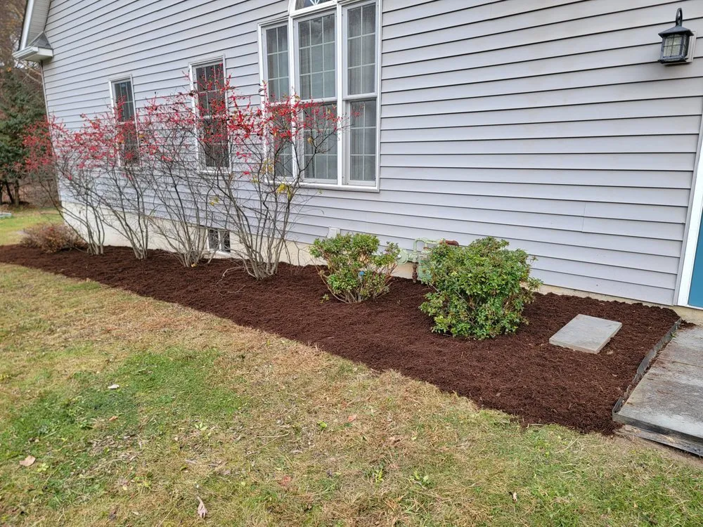 Affordable residential landscaping experts serving Scranton, PA - M & R Landscaping