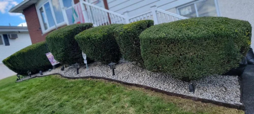 Trusted residential landscaping for residential properties in Scranton, PA by M & R Landscaping