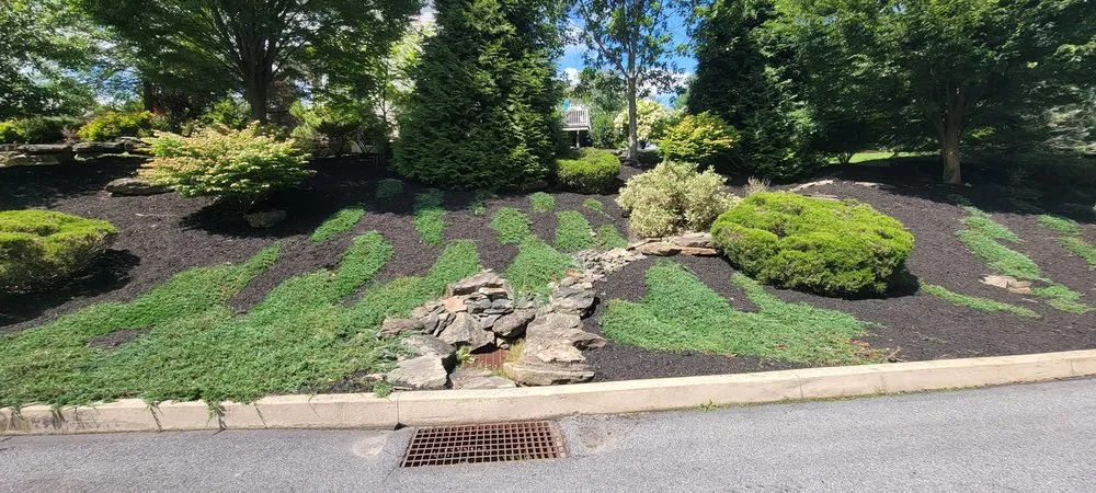 Professional landscaping services experts serving Scranton, PA - M & R Landscaping