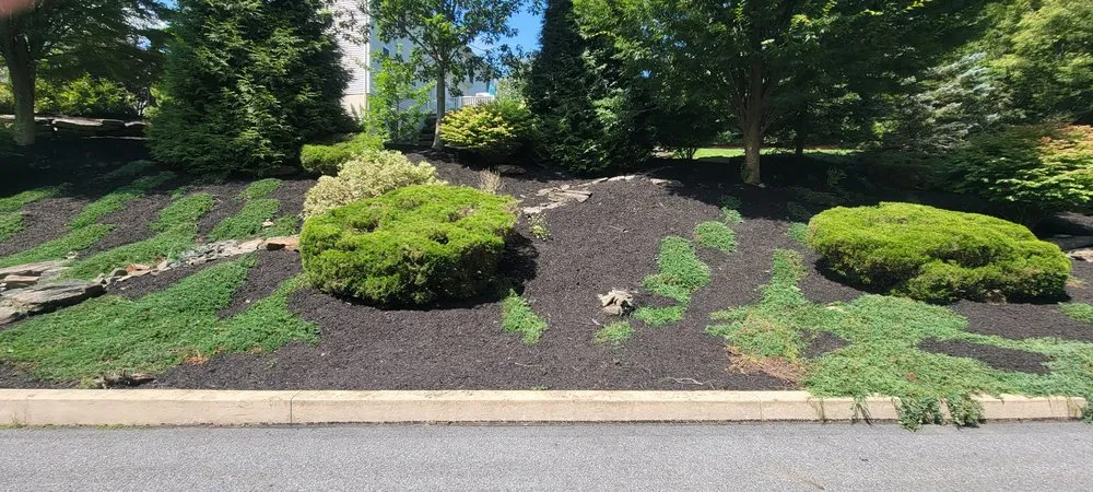 Expert lawn mowing service for outdoor upgrades across Scranton, PA - M & R Landscaping