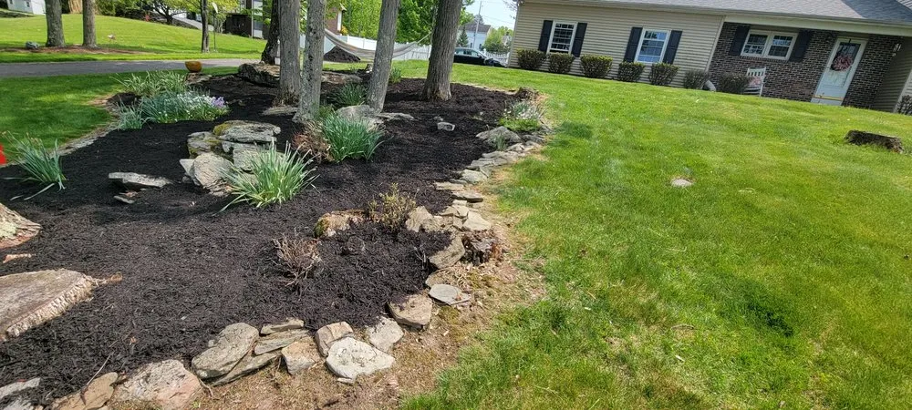 Reliable yard cleanup service in Scranton, PA - M & R Landscaping
