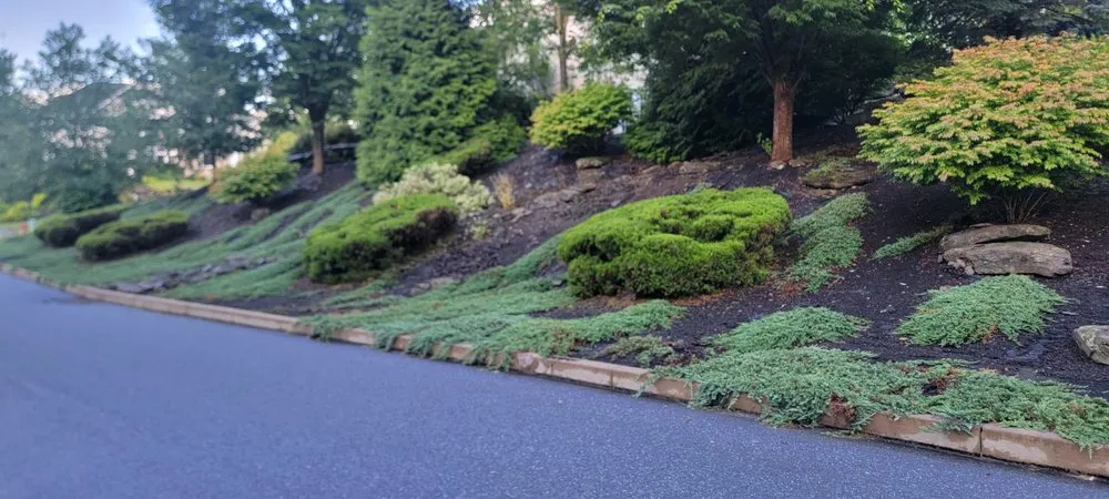 Affordable yard maintenance for homes across Scranton, PA - M & R Landscaping