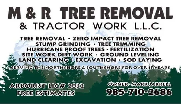 M & R Tree Removal