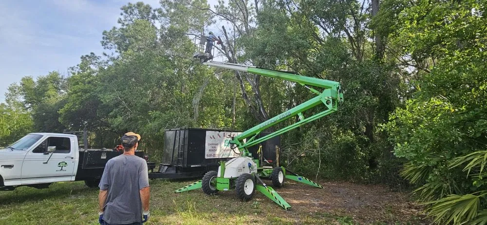 Trusted yard maintenance experts serving Zephyrhills, FL - M & R Tree Service & Landscaping