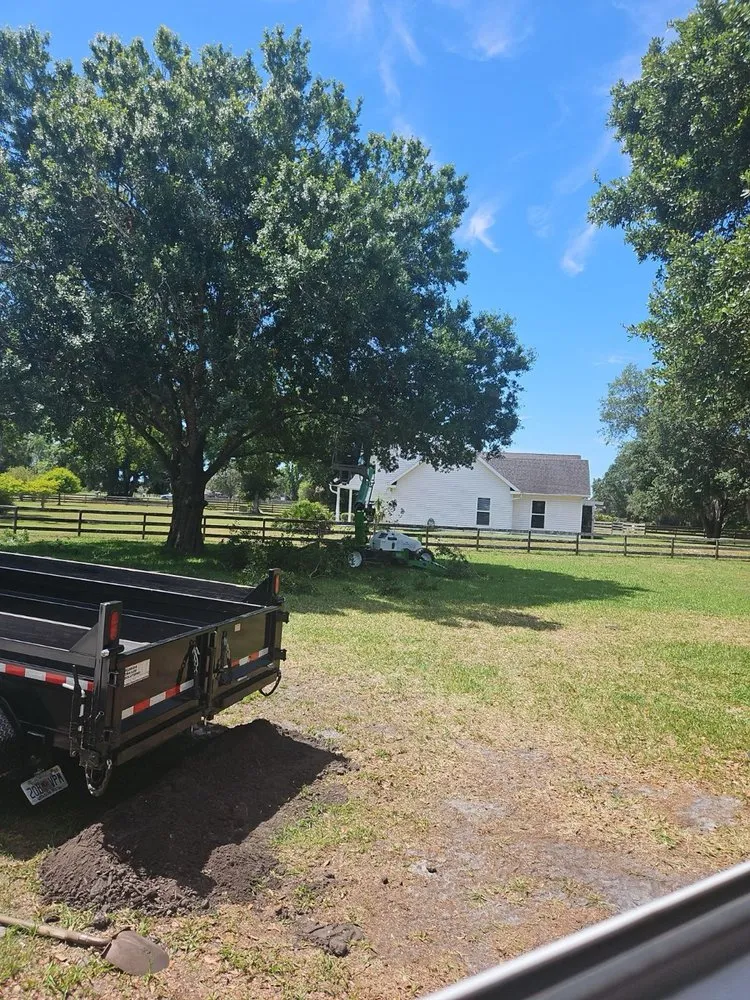 Affordable yard cleanup service in Zephyrhills, FL by M & R Tree Service & Landscaping