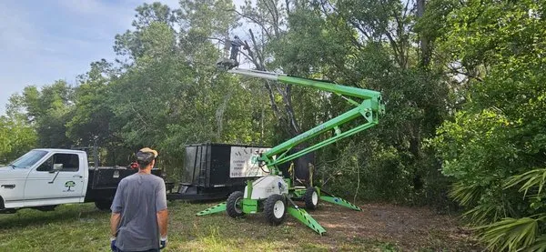 M & R Tree Service & Landscaping