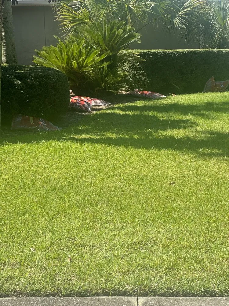 Custom landscape installation experts serving Panama City, FL - M & S landscaping & Remodeling