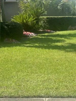 M & S landscaping & Remodeling Logo