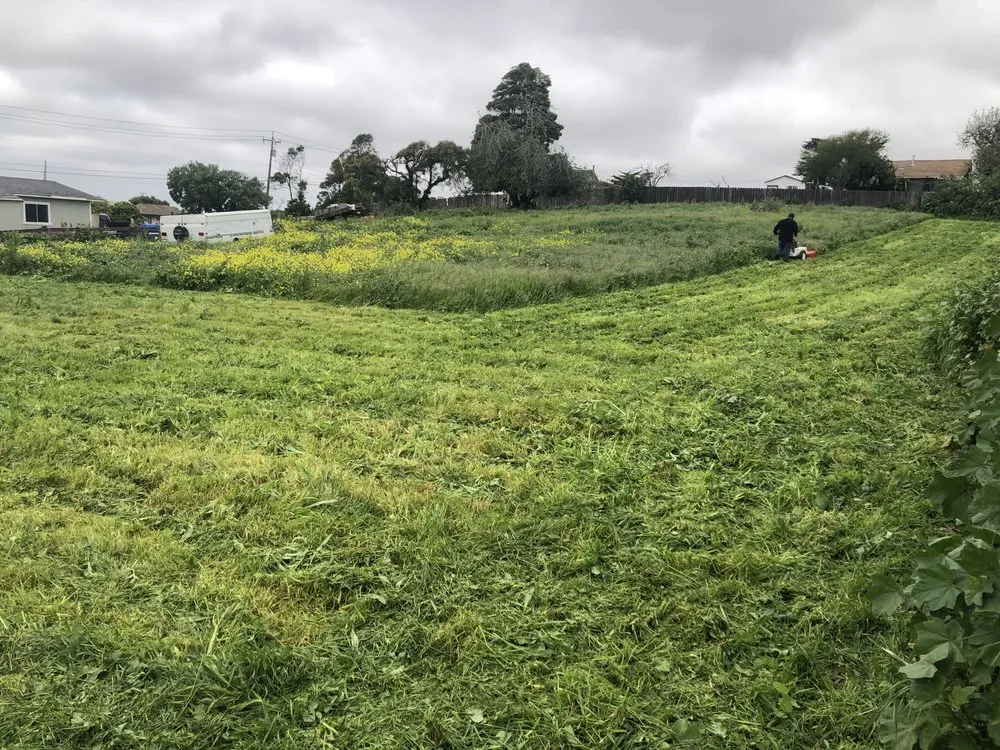 Top-rated landscape installation for outdoor upgrades across Salinas, CA - M & S Property Maintenance