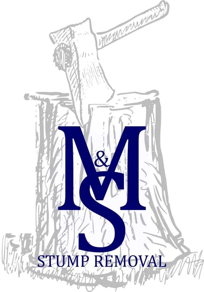 Affordable yard cleanup service for homes in Salem, IN by M & S Stump Removal