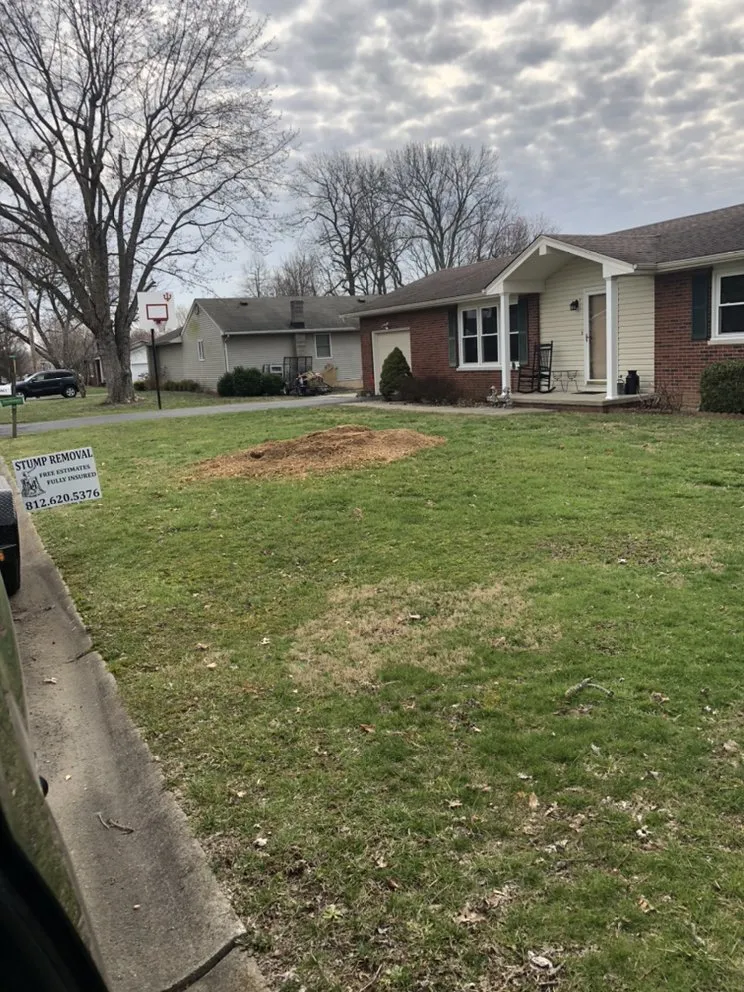 Trusted lawn mowing service near you across Salem, IN - M & S Stump Removal