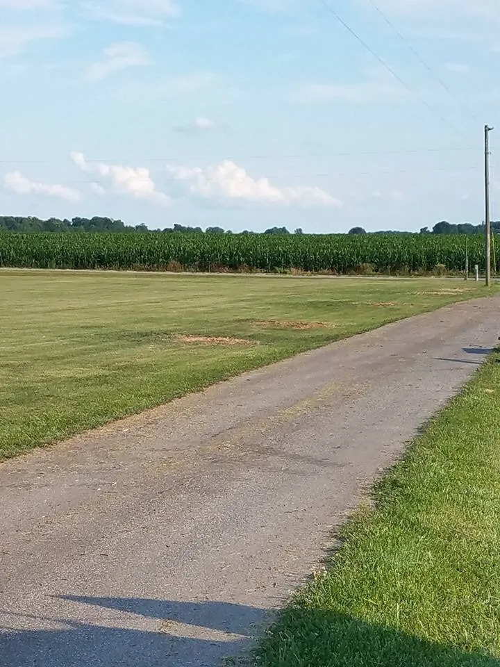 Trusted outdoor landscaping in Salem, IN by M & S Stump Removal