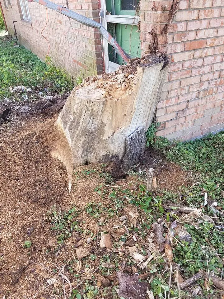 Custom garden landscaping in Salem, IN - M & S Stump Removal