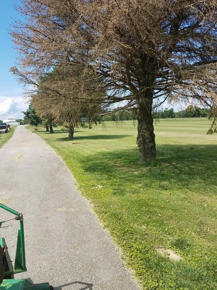 Trusted outdoor landscaping with custom design in Salem, IN by M & S Stump Removal