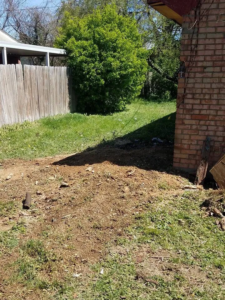 Top-rated lawn mowing service in Salem, IN by M & S Stump Removal