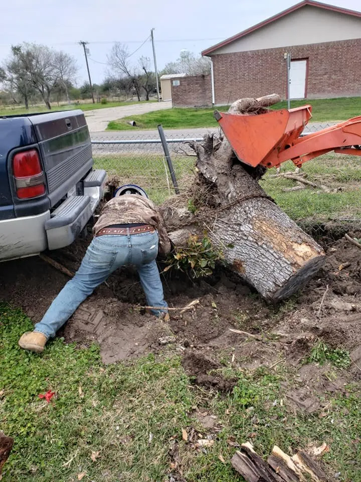 Top-rated yard maintenance for homes in Taft, TX by M & S Tree Service
