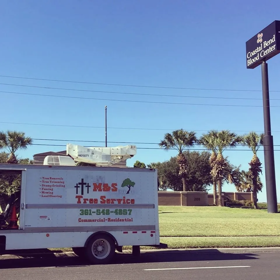 Custom landscape design in Taft, TX by M & S Tree Service