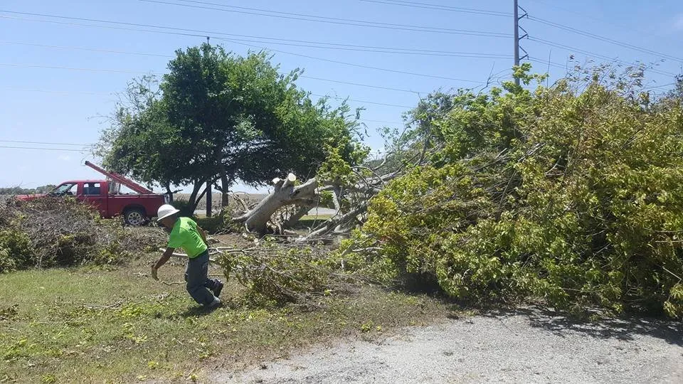 Reliable outdoor landscaping for homes in Taft, TX by M & S Tree Service