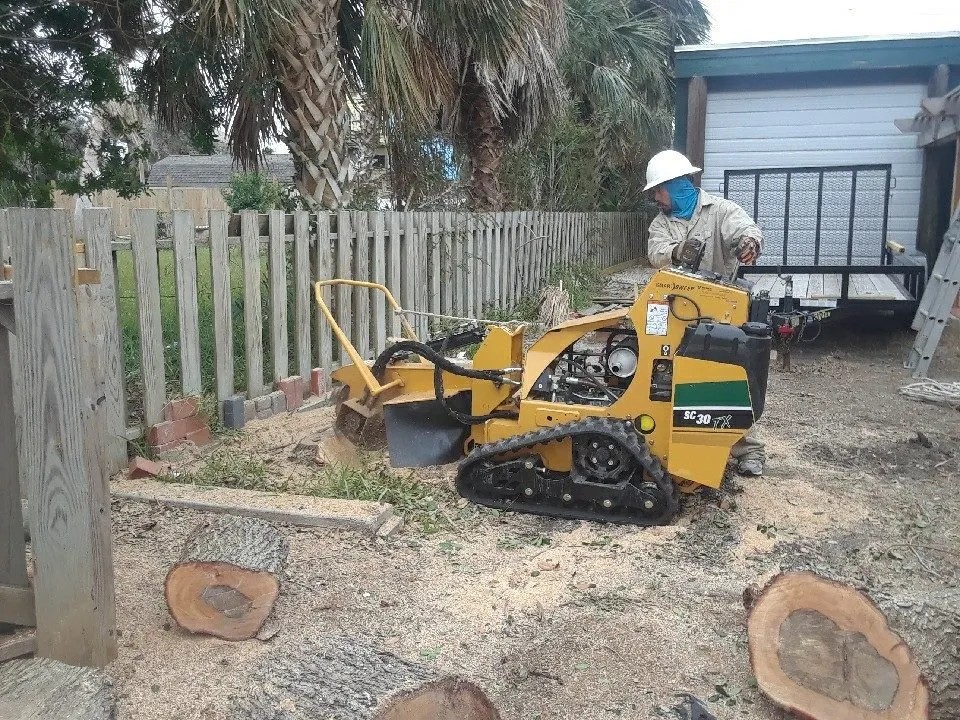 Local outdoor landscaping for residential properties across Taft, TX - M & S Tree Service