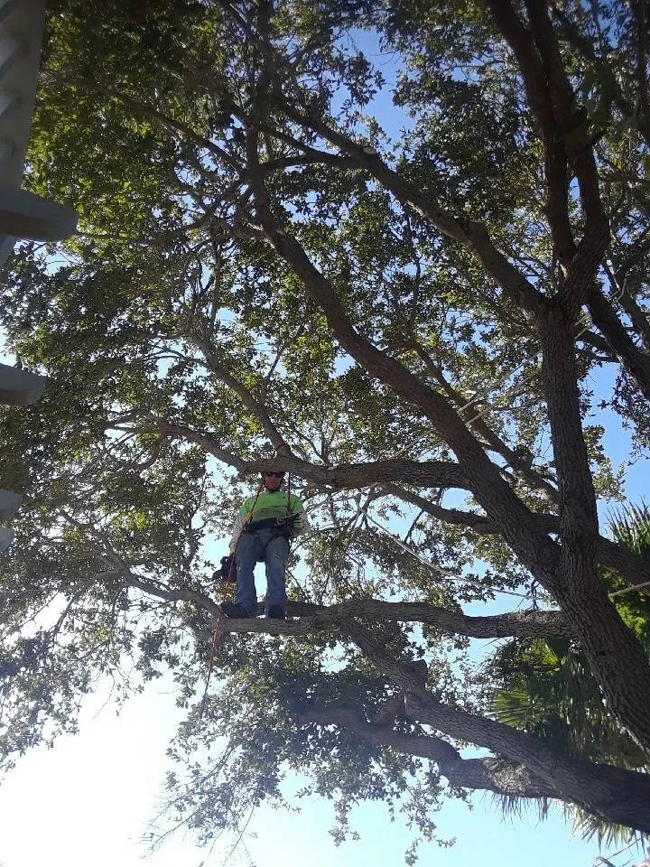 Professional garden landscaping near you in Taft, TX by M & S Tree Service