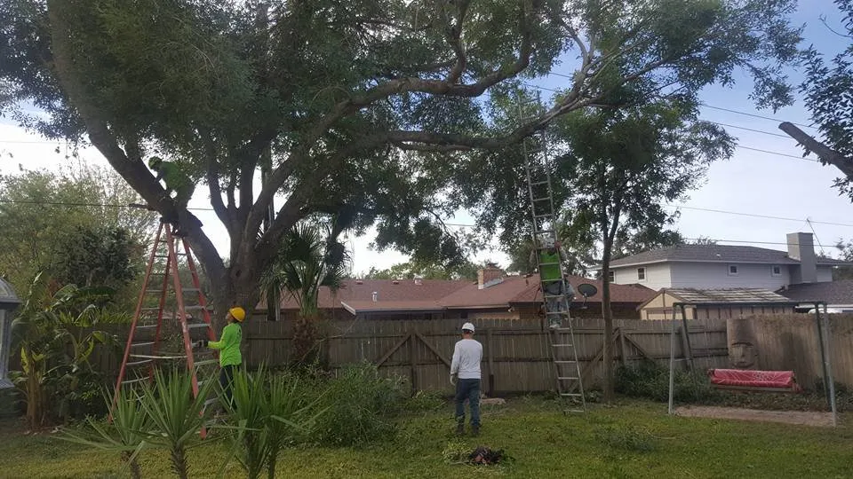 Expert lawn mowing service for beautiful yards across Taft, TX - M & S Tree Service