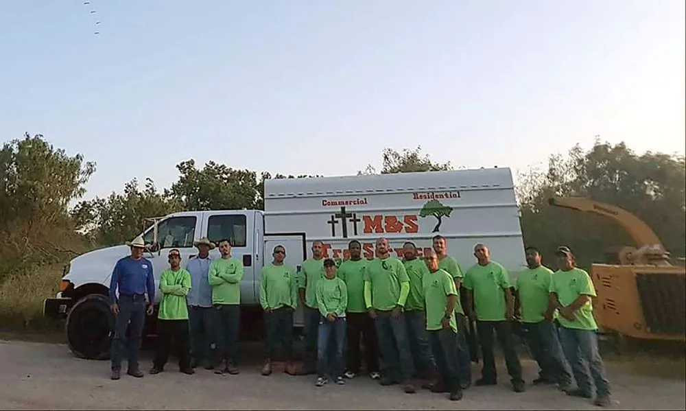 Expert lawn mowing service experts serving Taft, TX - M & S Tree Service