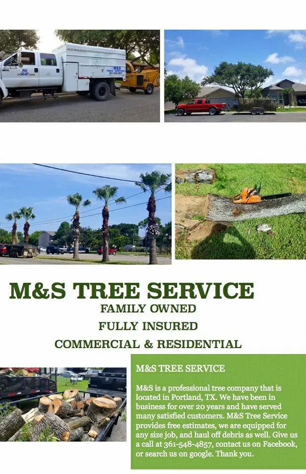 Affordable lawn care service in Taft, TX by M & S Tree Service