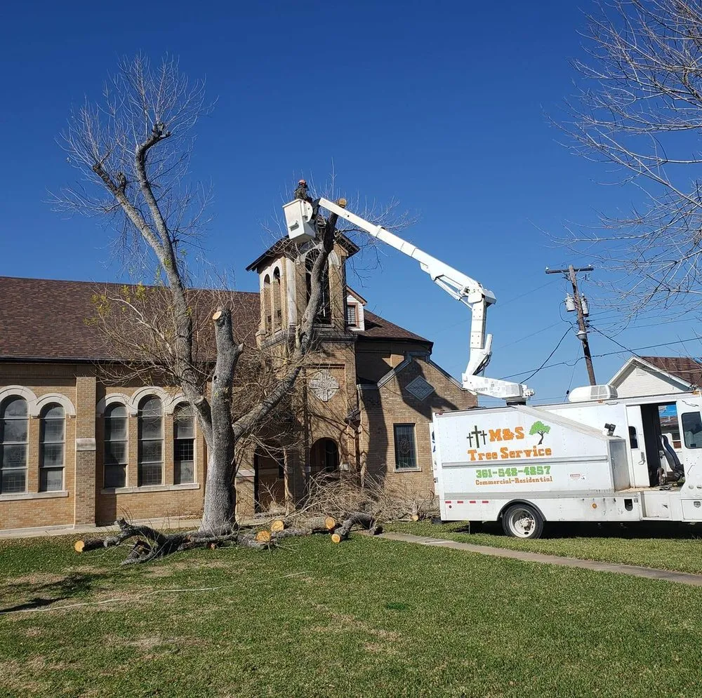 Expert residential landscaping for homes in Taft, TX by M & S Tree Service