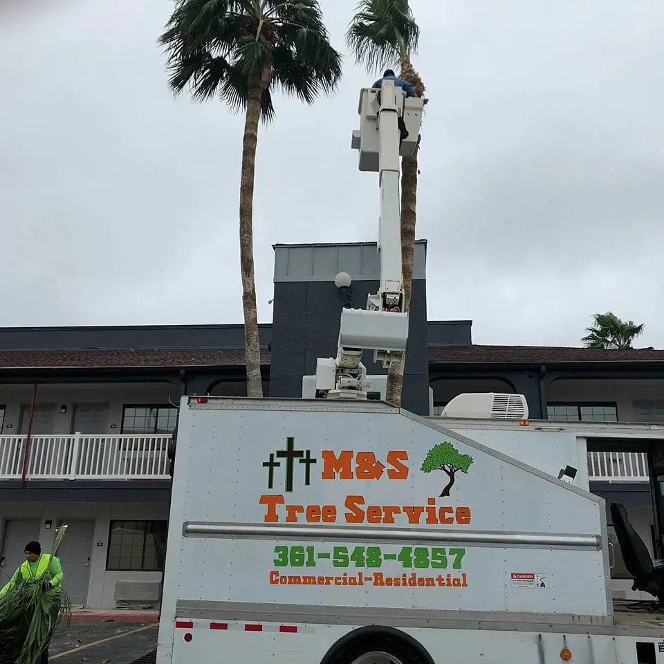Professional residential landscaping experts serving Taft, TX - M & S Tree Service