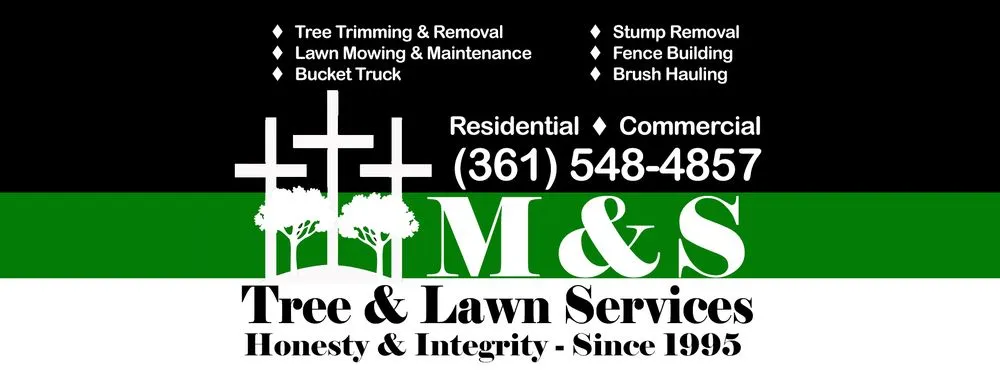 Local yard maintenance near you across Taft, TX - M & S Tree Service