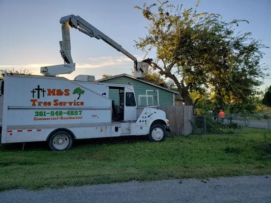 M & S Tree Service