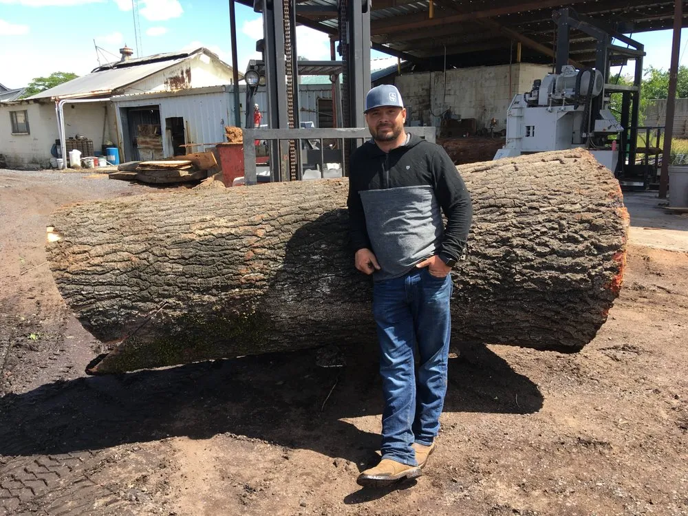 Professional garden landscaping for beautiful yards in chico, CA by M & S Wesley Tree Service