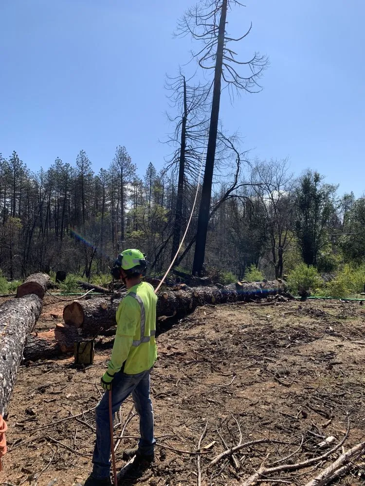 Reliable landscape design in chico, CA by M & S Wesley Tree Service