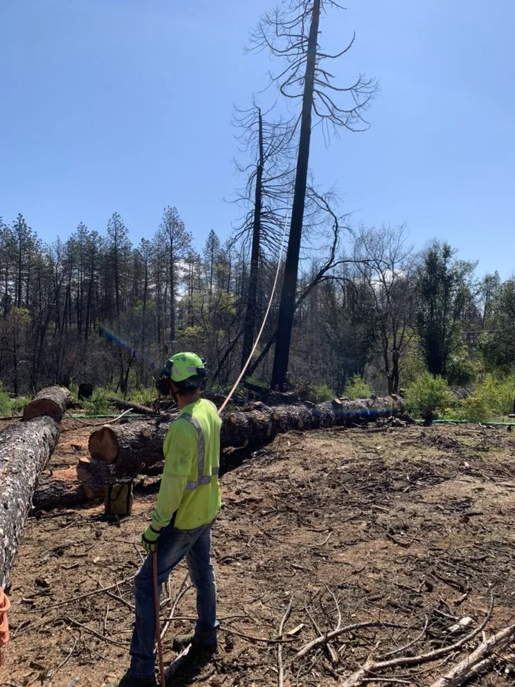 Trusted landscape design experts serving chico, CA - M & S Wesley Tree Service