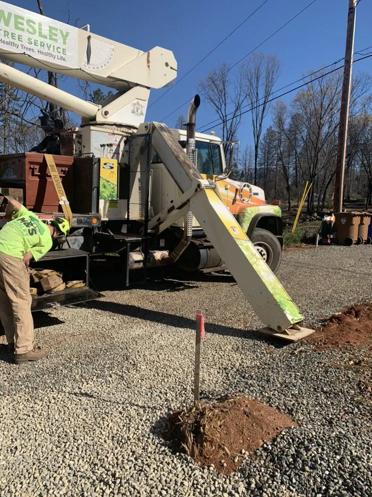 Local lawn mowing service in chico, CA - M & S Wesley Tree Service