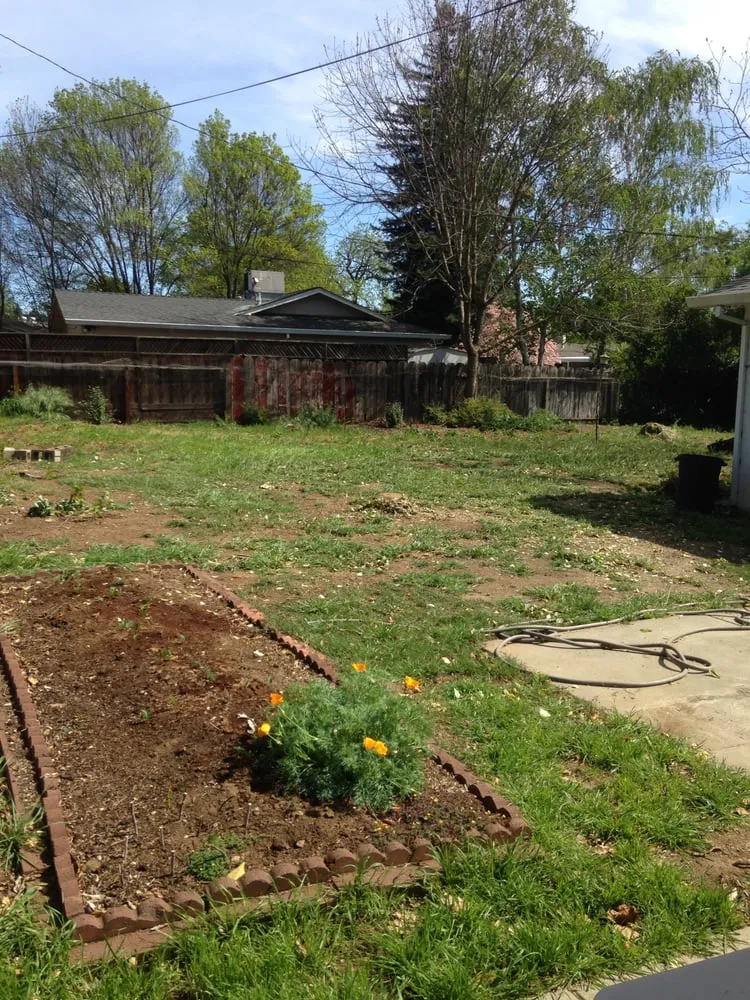 Custom outdoor landscaping in chico, CA by M & S Wesley Tree Service
