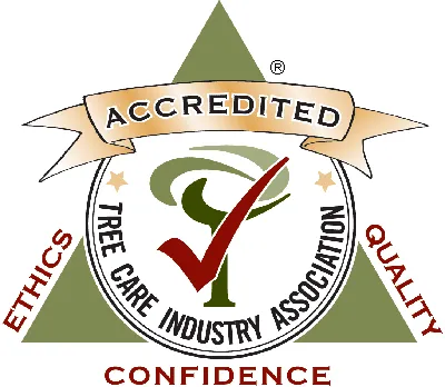 Top-rated lawn care service for residential properties across chico, CA - M & S Wesley Tree Service