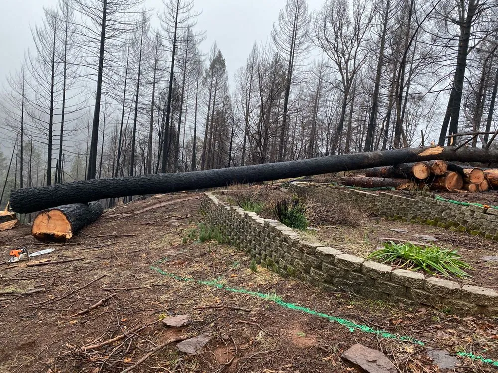 Professional landscape design in chico, CA by M & S Wesley Tree Service