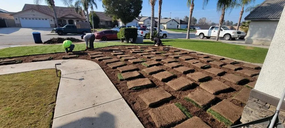 Expert landscape design in San Fernando Valley, CA by M & Sons Landscape & Hardscape SVC