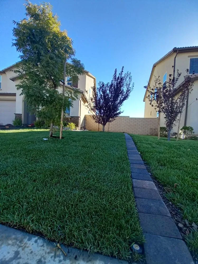 Expert landscaping services for residential properties across San Fernando Valley, CA - M & Sons Landscape & Hardscape SVC